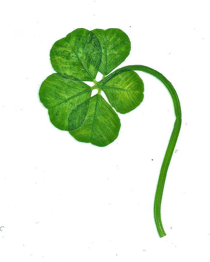 Good Luck Wallpaper 1 Good Luck Wallpaper 1