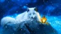Desktop Arctic Fox Wallpaper 8