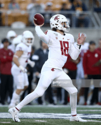 Gardner Minshew Wallpaper 7