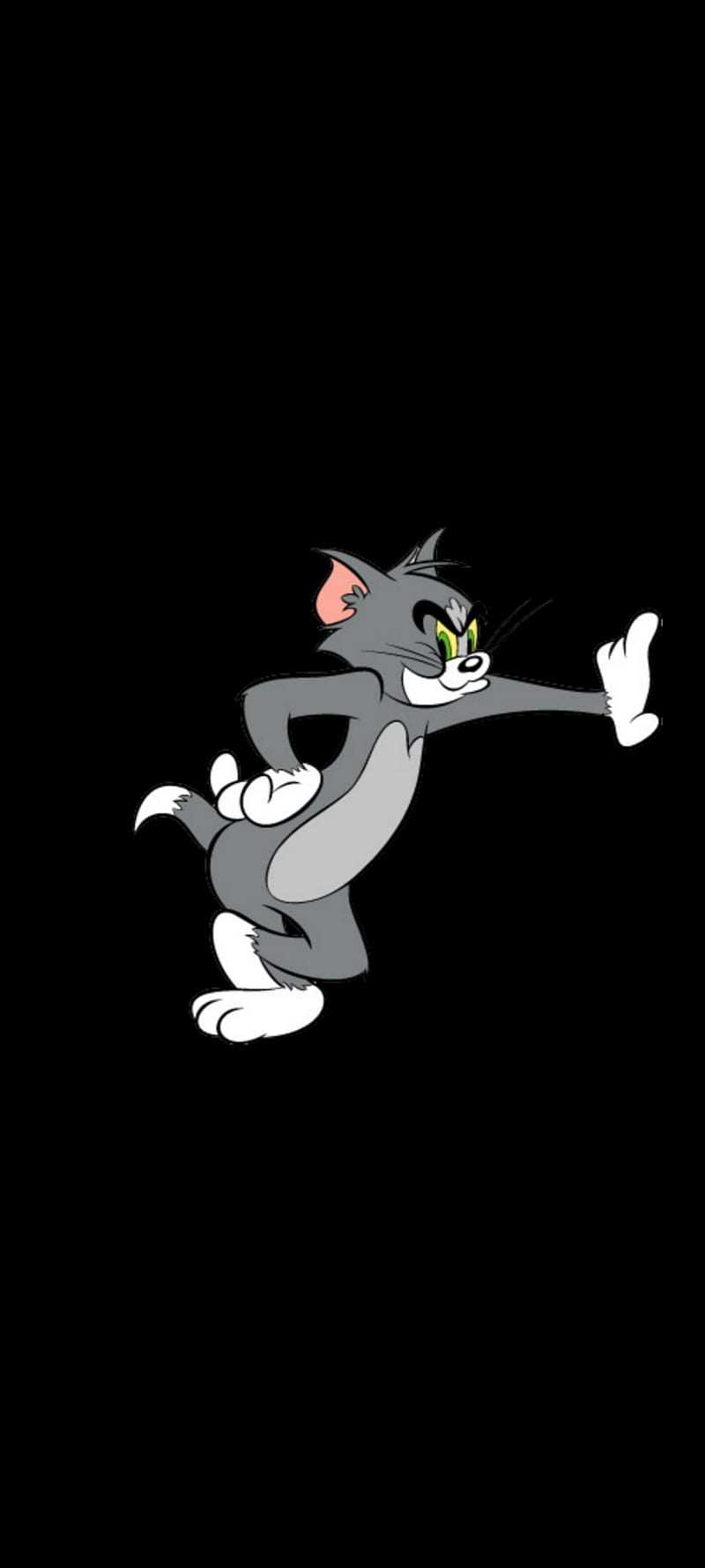 Tom And Jerry Wallpaper 1