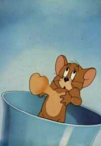 Tom And Jerry Wallpaper 10