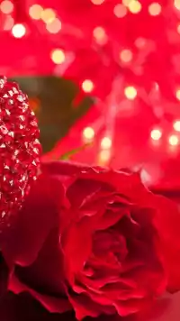 HD Valentine's Day Wallpaper 1