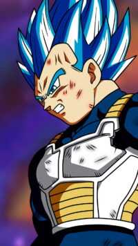 Vegeta Wallpaper 5