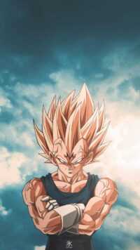 Vegeta Background 4