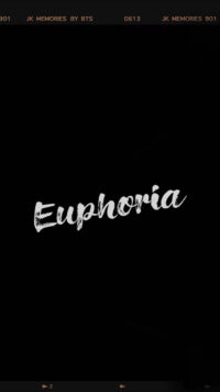 Euphoria Wallpaper 7