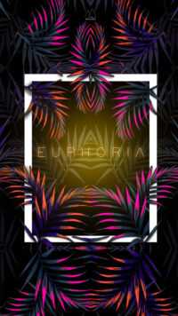 Euphoria Wallpaper 3