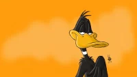 Desktop Daffy Duck Wallpaper 8