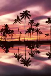 4K View Wallpaper 10