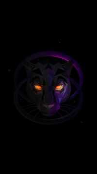 Black Panther Wallpaper 9