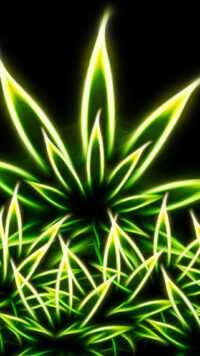 Weed Wallpaper 4