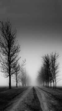 Black And White Wallpaper 5