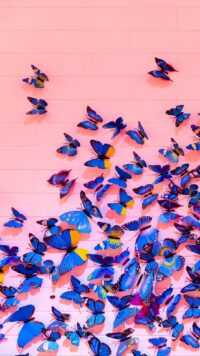Butterfly Wallpaper 5