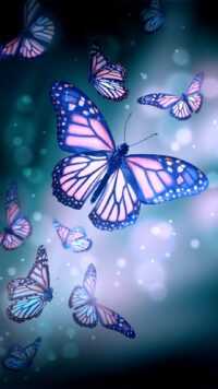 Butterfly Wallpaper 1