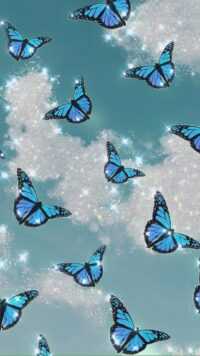 Butterfly Wallpaper 7