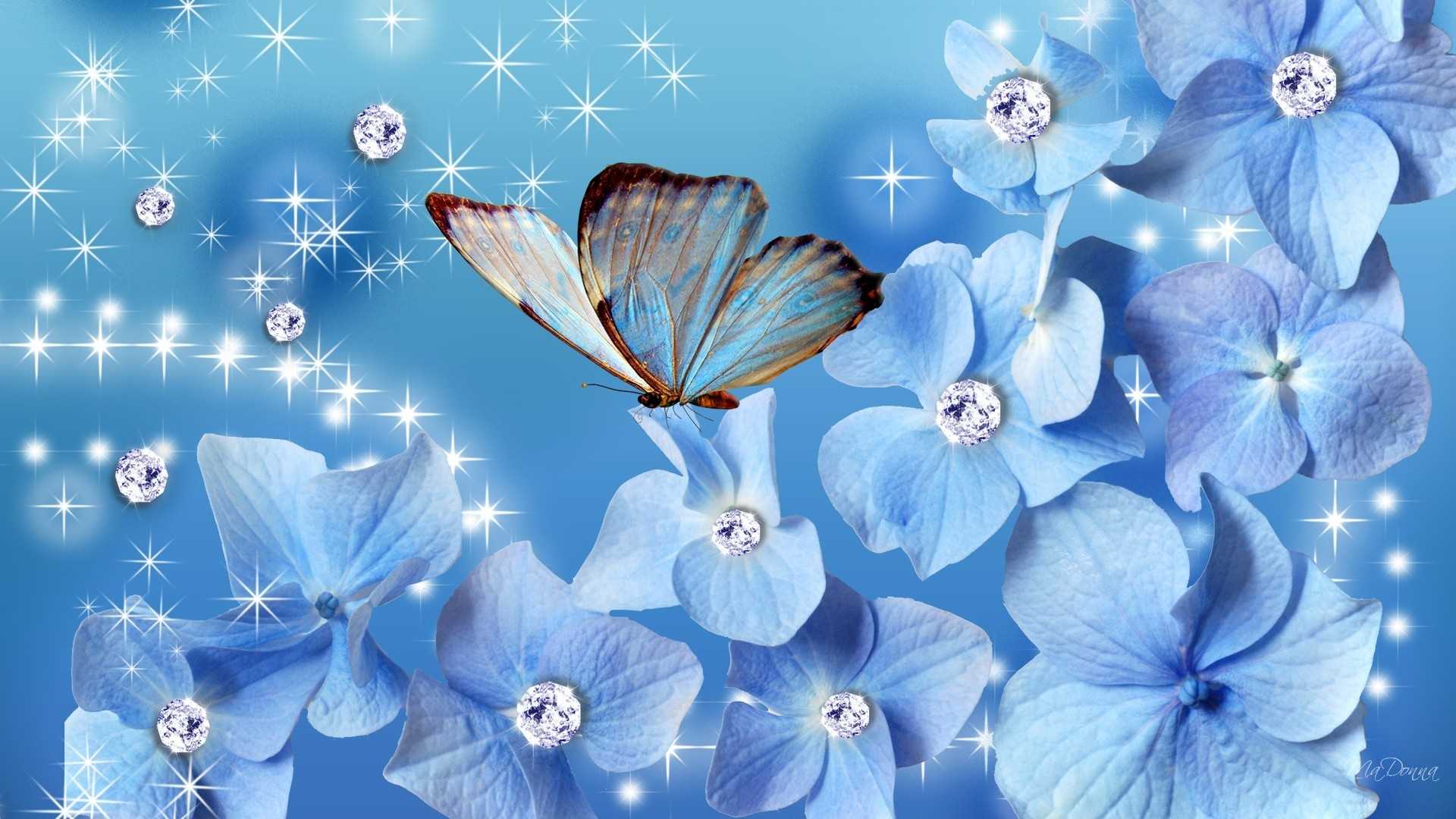 Butterfly Desktop Wallpaper 1