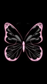 Butterfly Wallpaper 7