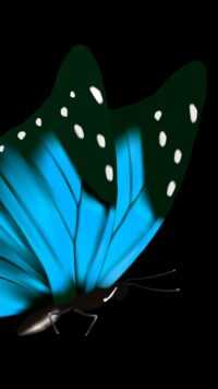 Butterfly Wallpaper 2