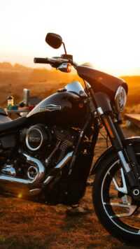 Harley Davidson Wallpaper 4
