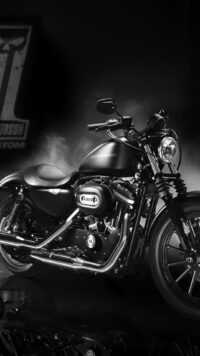 Harley Davidson Wallpaper 2