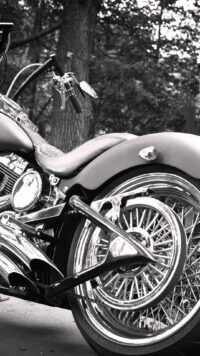 Harley Davidson Wallpaper 7