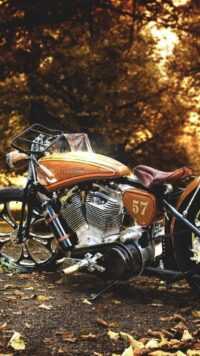Harley Davidson Wallpaper 6