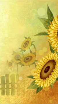 Sunflower Wallpaper 5