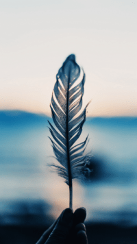 White Aesthetic Wallpaper 1