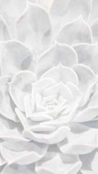 White Aesthetic Wallpaper 7