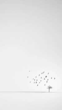 White Aesthetic Wallpaper 4