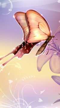Butterfly Wallpaper 9