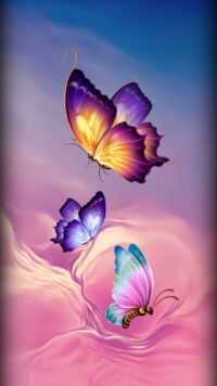 Butterfly Wallpaper 4