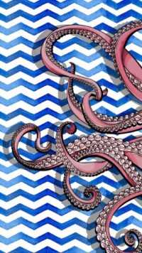 Octopus Wallpaper 5