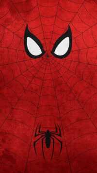Spider Man Desktop Wallpaper 5