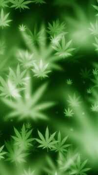 Weed Wallpaper 5