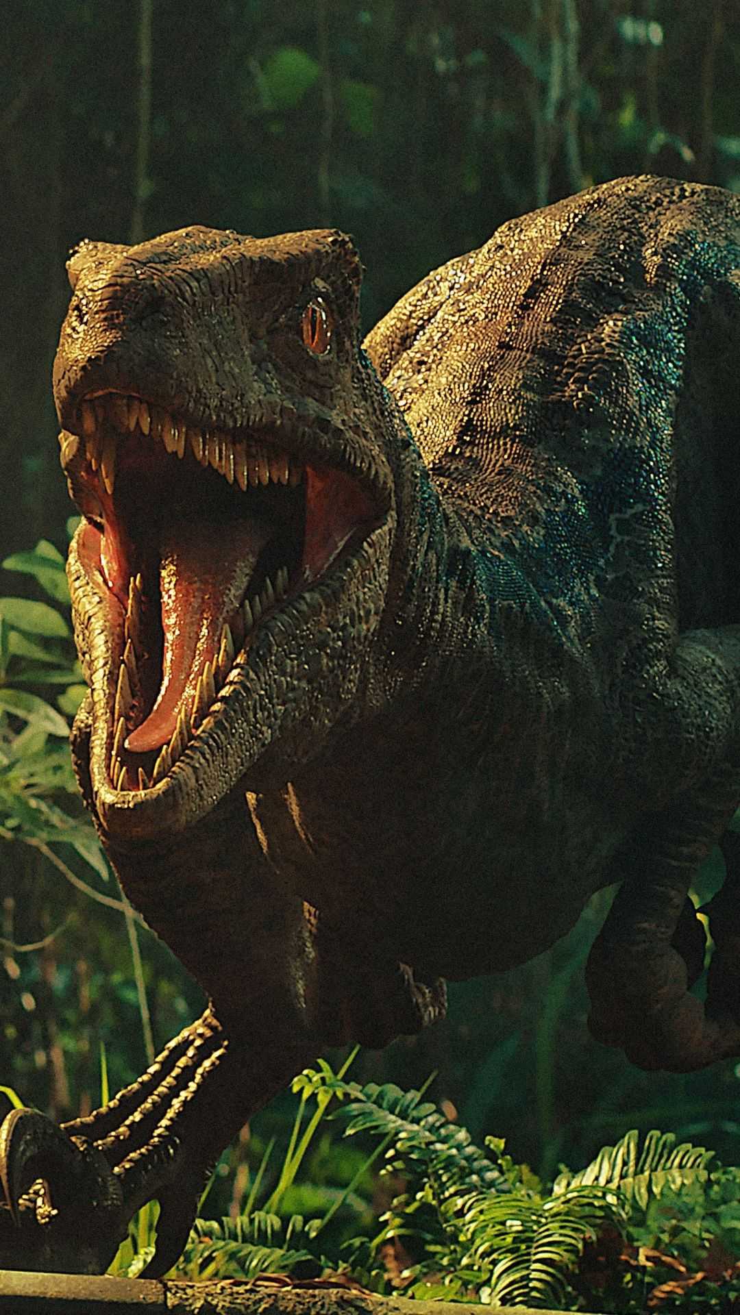 Dinosaur Wallpaper 1