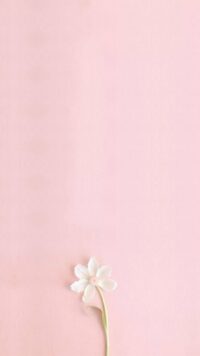 Light Pink Wallpaper 8