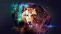 Wolf Desktop Wallpaper 2
