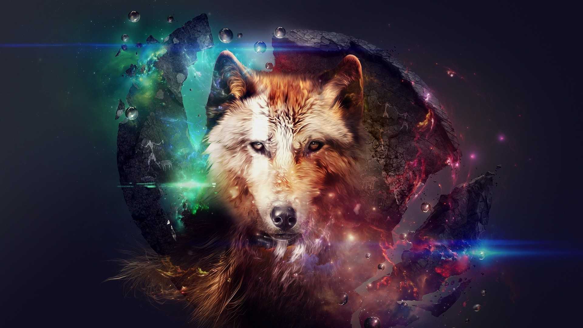 Wolf Desktop Wallpaper 1