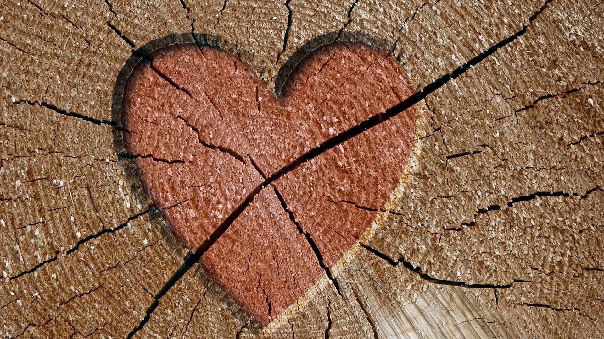 Brown Hearts Desktop Wallpaper 1