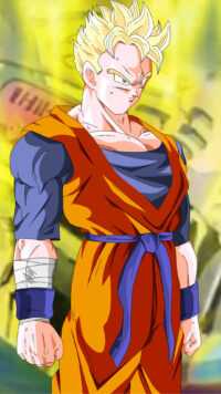 Dragon Ball Z Wallpaper 8