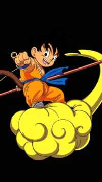 Dragon Ball Z Wallpaper 5