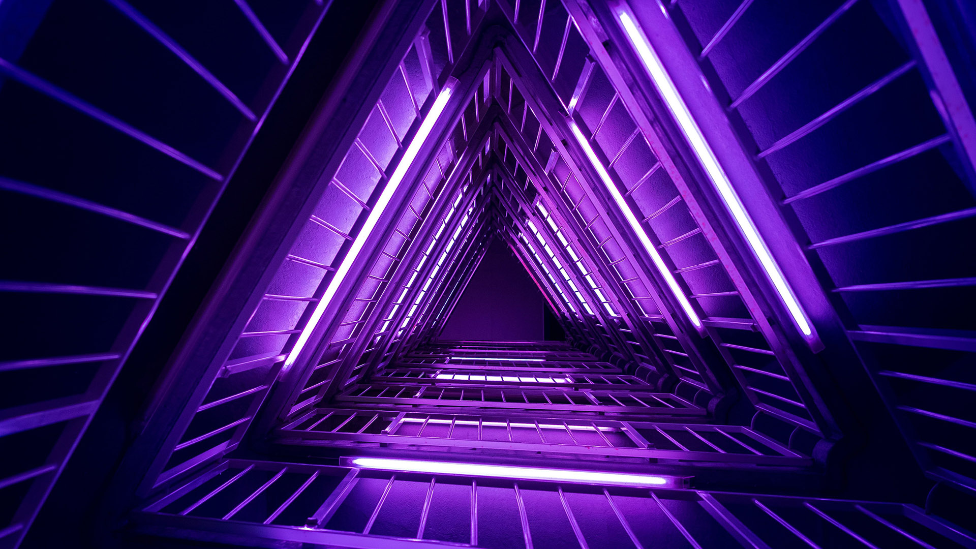 Purple Wallpaper 1