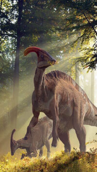 Dinosaur Wallpaper 6