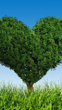 Father's Day Wallpaper 6