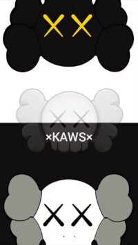 Kaws Background 6