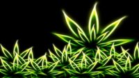 Weed Desktop Wallpaper 7