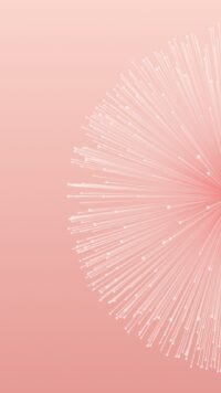 Light Pink Wallpaper 4