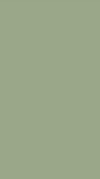 Sage Green Wallpaper 8