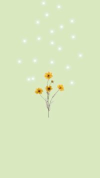 Sage Green Wallpaper 10