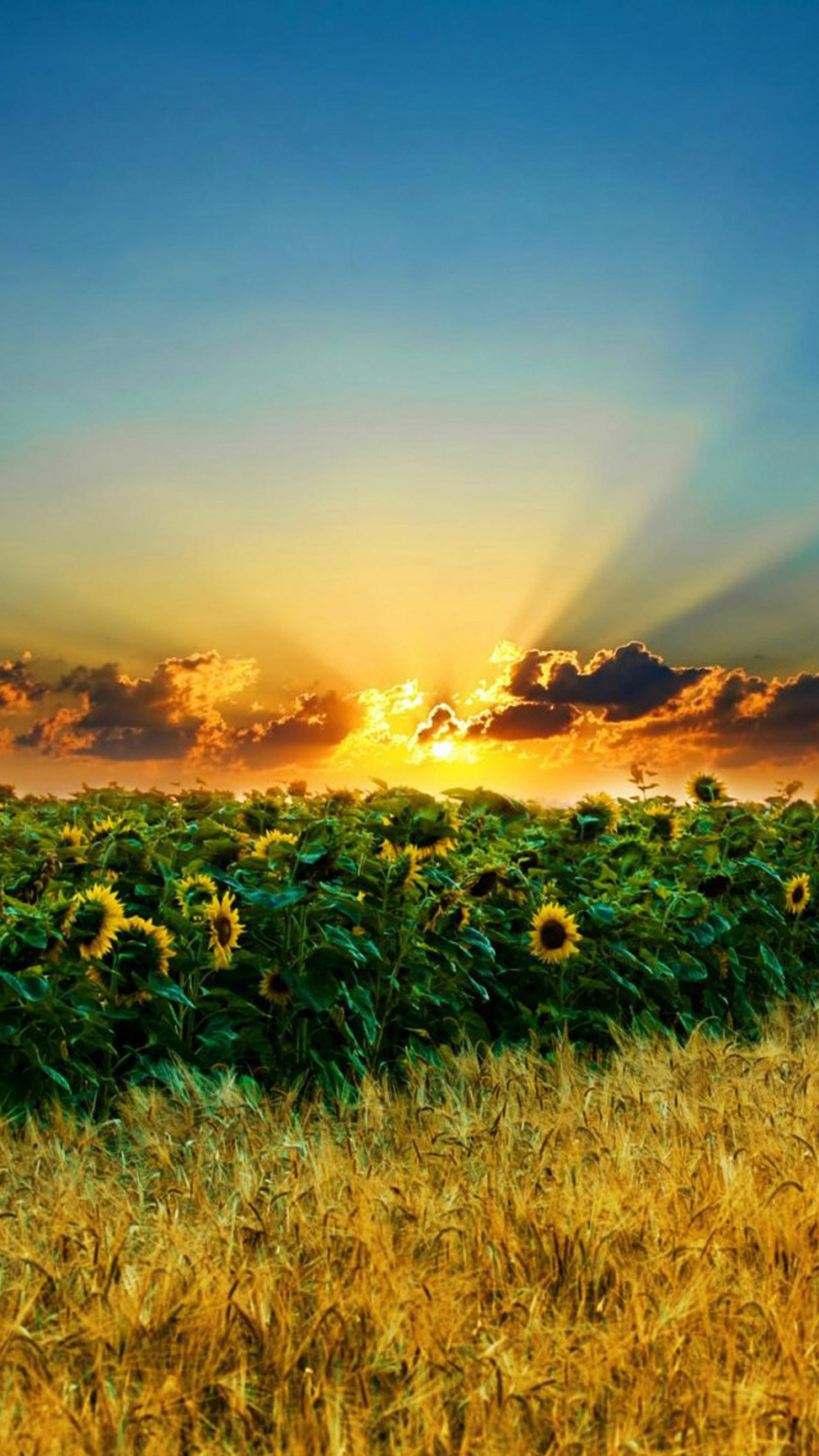 The Yellow Wallpaper 1 The Yellow Wallpaper 1